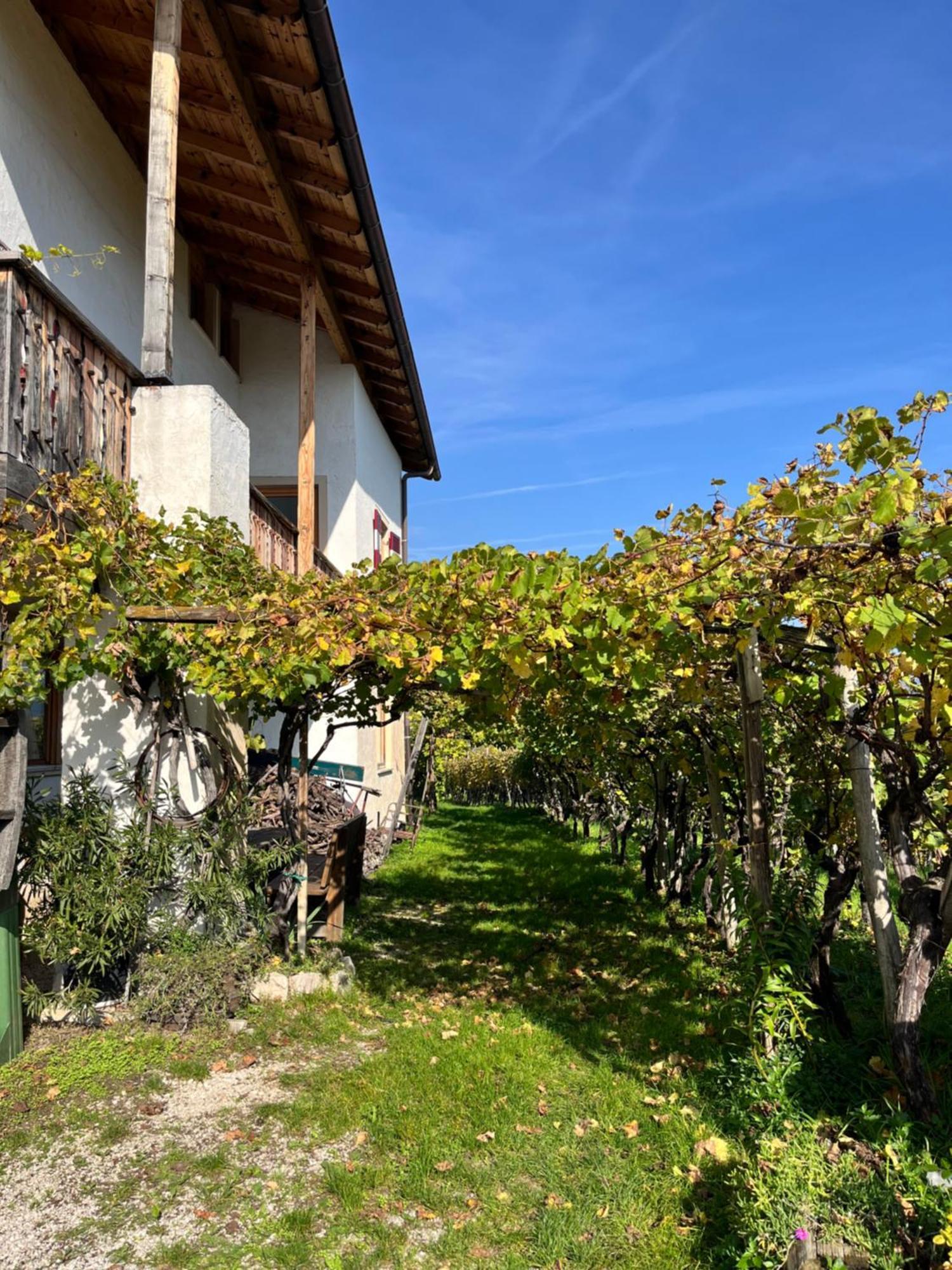 Voldersberghof Apartment กอร์ตัชชา ภายนอก รูปภาพ